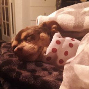 Meet your Posher, Stephanie